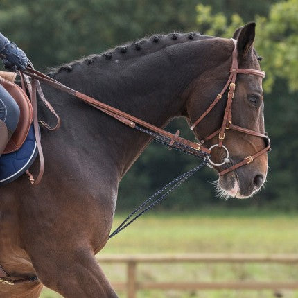 Bruno Delgrange - Draw Reins