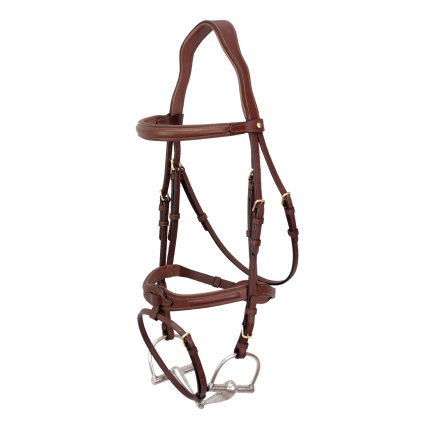 Bruno Delgrange - Snaffle bridle flash noseband